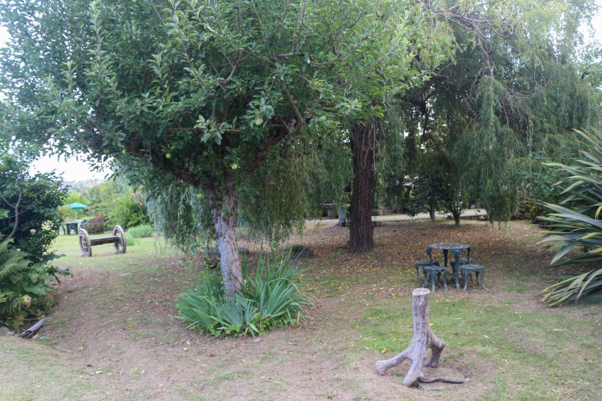 Casa Campo Das Bizarras Castro Daire Zewnętrze zdjęcie