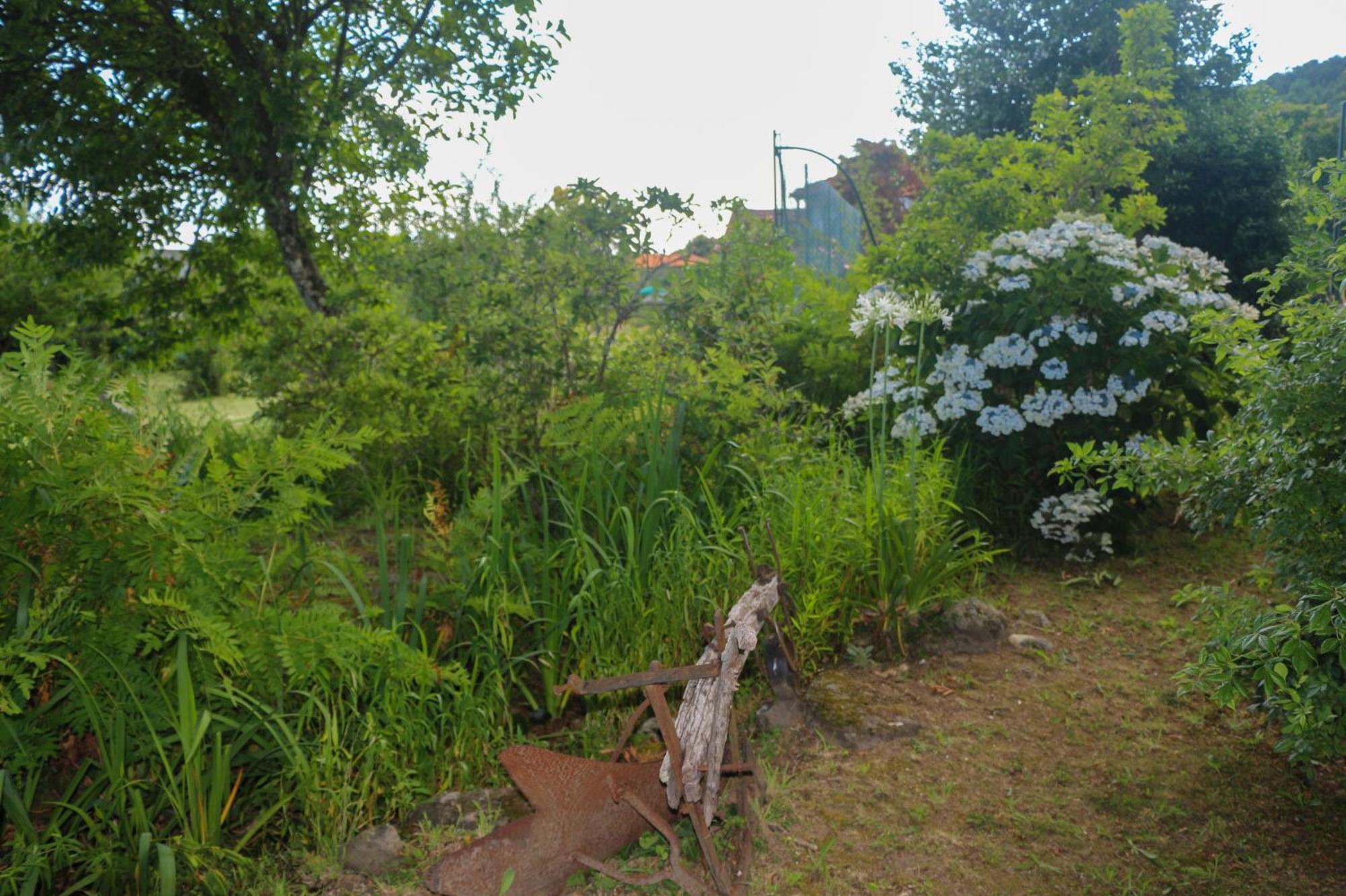 Casa Campo Das Bizarras Castro Daire Zewnętrze zdjęcie