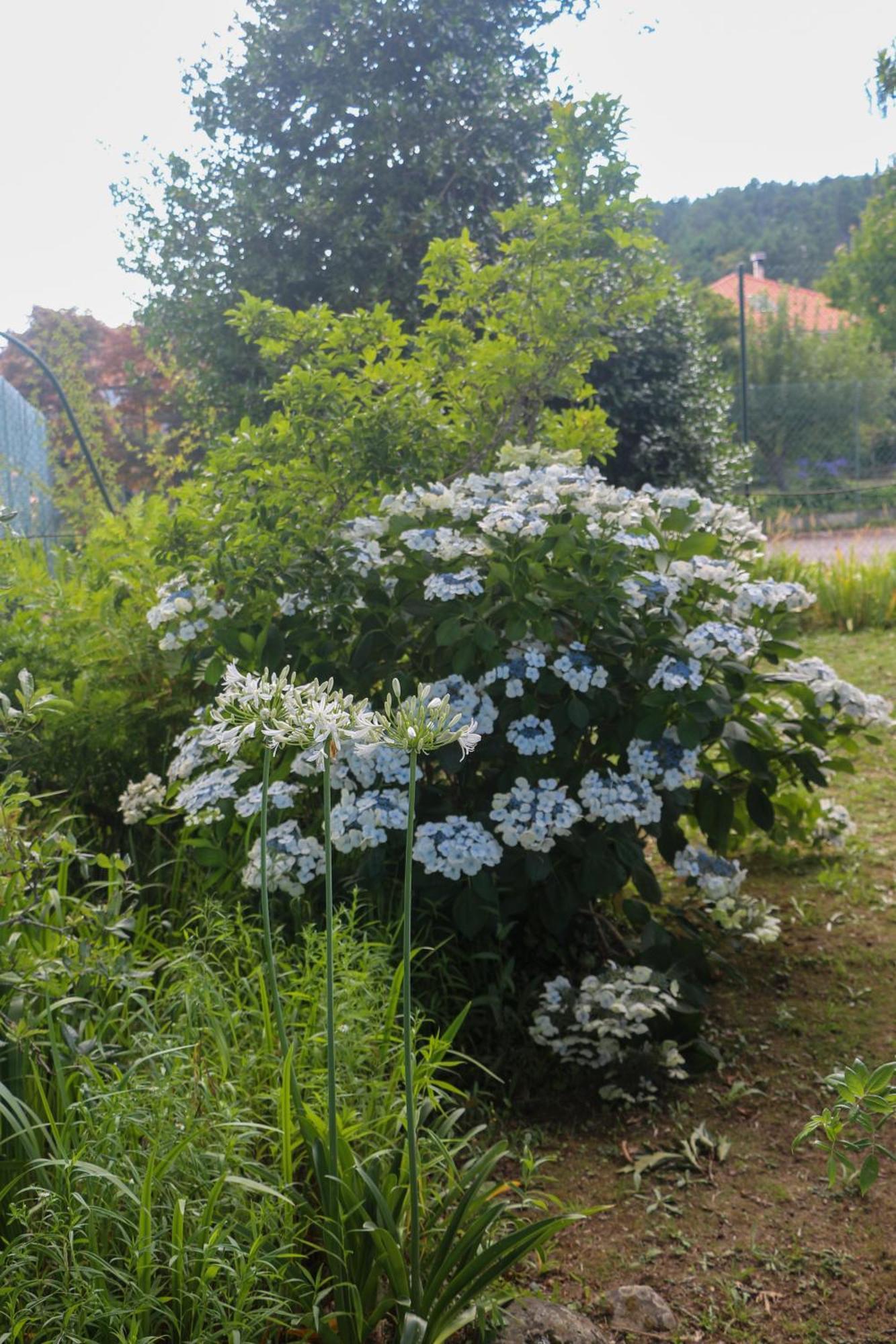 Casa Campo Das Bizarras Castro Daire Zewnętrze zdjęcie